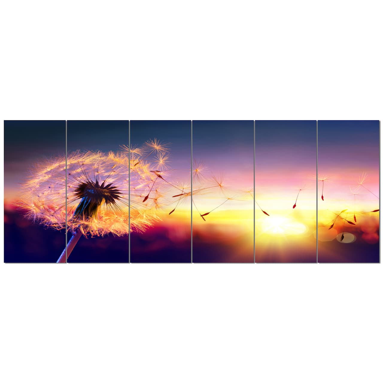 Designart - Dandelion at Sunset Freedom to Wish - Abstract Wall Art Canvas